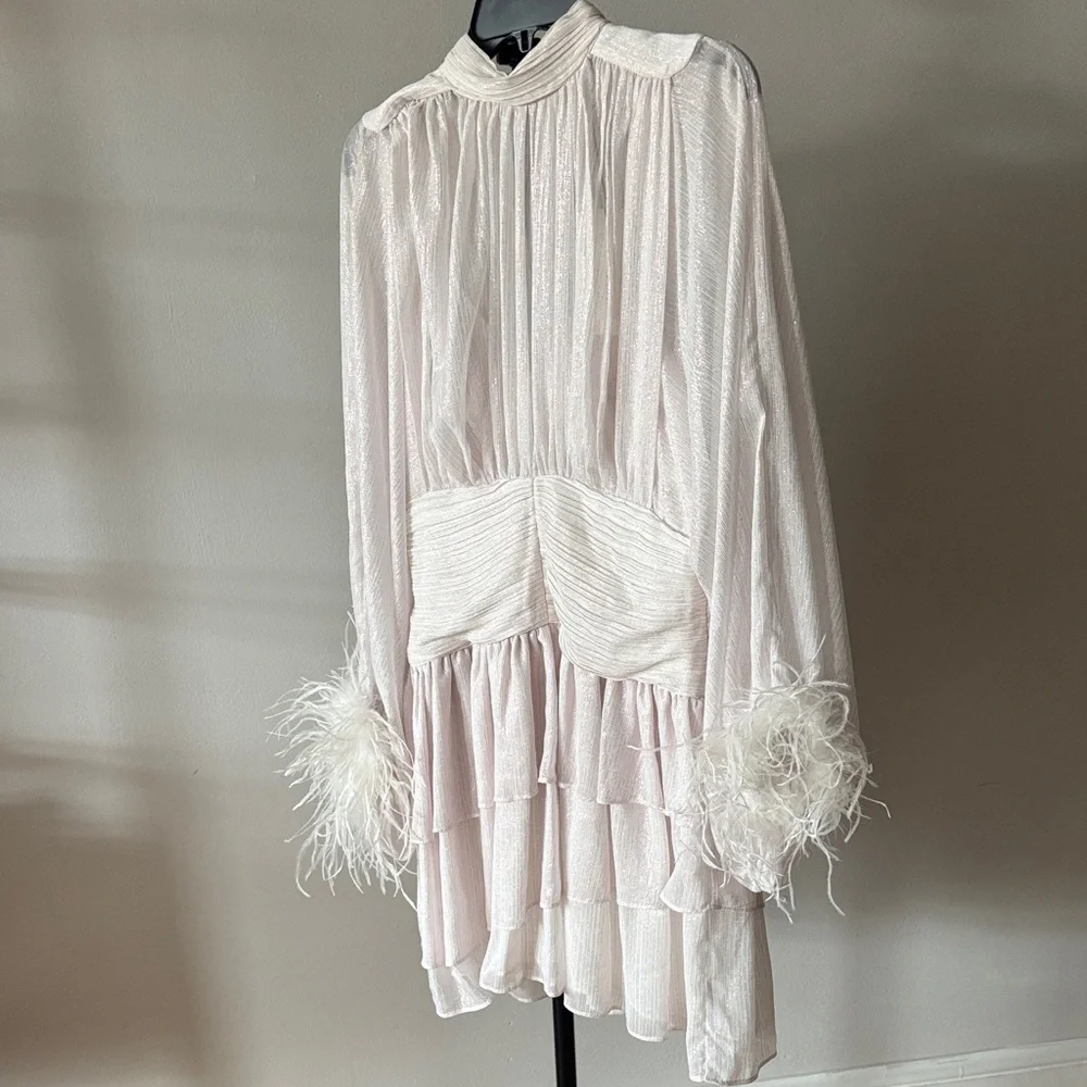 Loves A Metallic Chiffon Feather Trim Ruched Dress - STUNNING! MSPR 159 - Picture 4 of 9